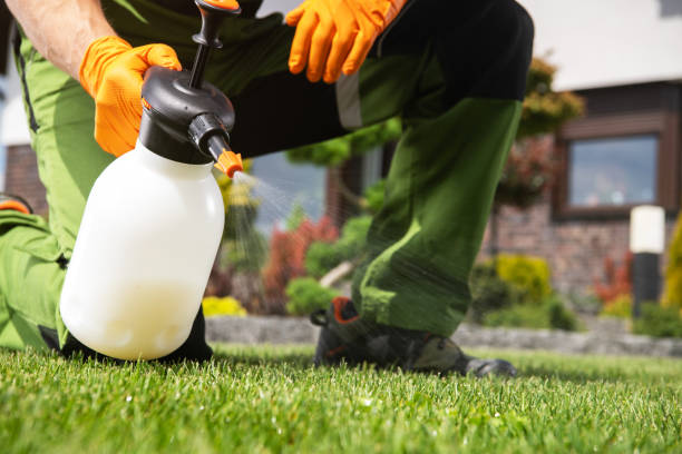 Best Emergency Pest Control  in Pleasant Hill, CA