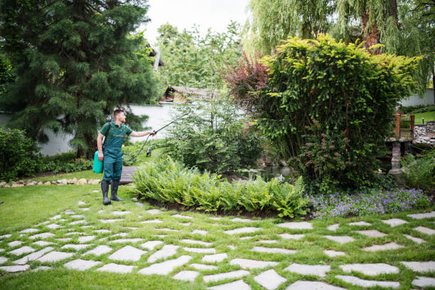 Best Bird Control  in Pleasant Hill, CA