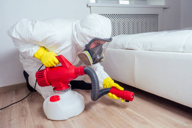 Best Ant Control Services  in Pleasant Hill, CA