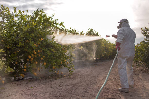 Best Pest Prevention Services  in Pleasant Hill, CA